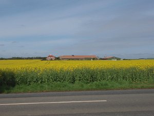 RTF Buxtehude 036